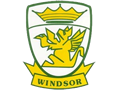 Windsor Counselling